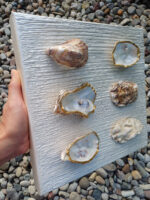 Six Gilded Zeeuws Oyster Shells - Image 2